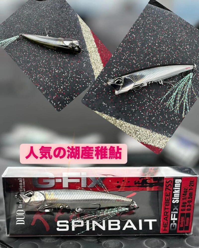 ブログ画像